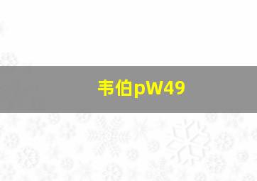 韦伯pW49