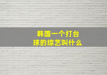 韩国一个打台球的综艺叫什么