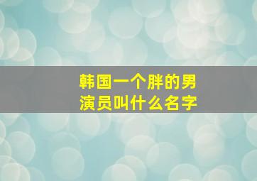 韩国一个胖的男演员叫什么名字