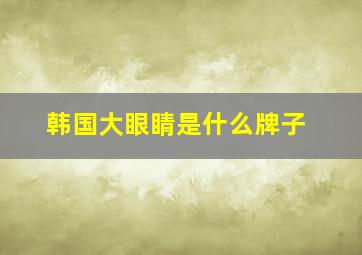 韩国大眼睛是什么牌子