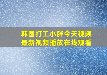 韩国打工小胖今天视频最新视频播放在线观看