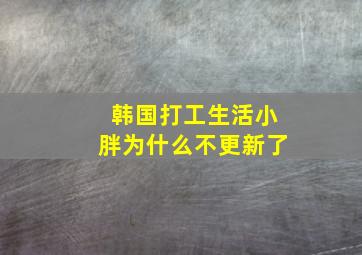 韩国打工生活小胖为什么不更新了