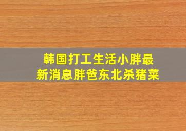 韩国打工生活小胖最新消息胖爸东北杀猪菜