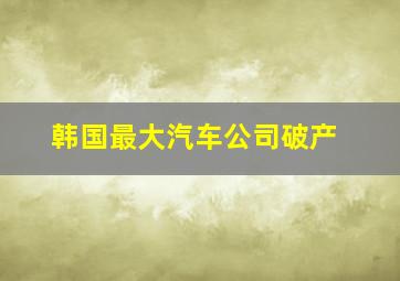 韩国最大汽车公司破产