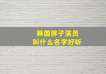 韩国胖子演员叫什么名字好听