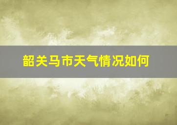 韶关马市天气情况如何