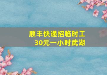 顺丰快递招临时工30元一小时武湖