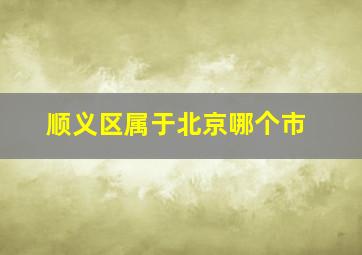 顺义区属于北京哪个市