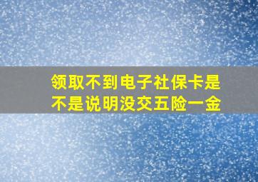 领取不到电子社保卡是不是说明没交五险一金