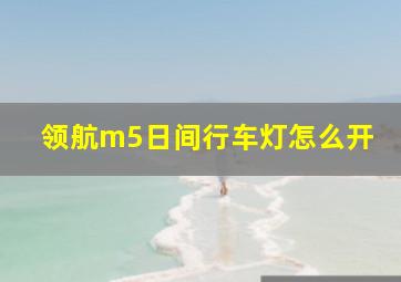 领航m5日间行车灯怎么开