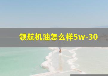 领航机油怎么样5w-30