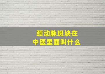 颈动脉斑块在中医里面叫什么