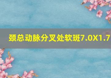 颈总动脉分叉处软斑7.0X1.7