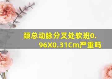 颈总动脉分叉处软班0.96X0.31Cm严重吗