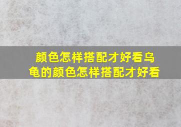 颜色怎样搭配才好看乌龟的颜色怎样搭配才好看