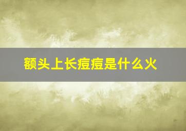 额头上长痘痘是什么火