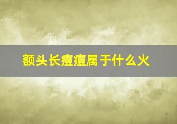 额头长痘痘属于什么火