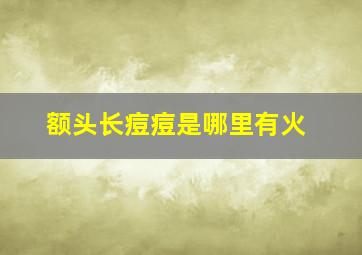 额头长痘痘是哪里有火