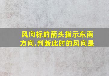 风向标的箭头指示东南方向,判断此时的风向是