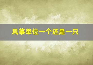 风筝单位一个还是一只