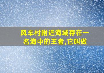 风车村附近海域存在一名海中的王者,它叫做