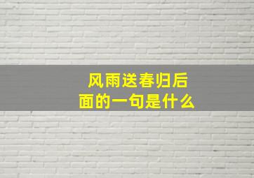 风雨送春归后面的一句是什么