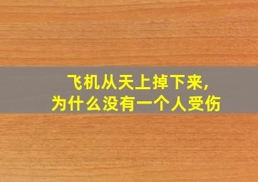 飞机从天上掉下来,为什么没有一个人受伤