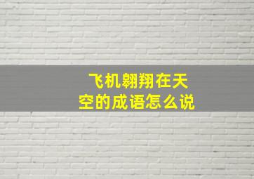 飞机翱翔在天空的成语怎么说