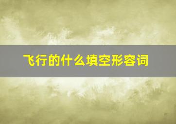 飞行的什么填空形容词