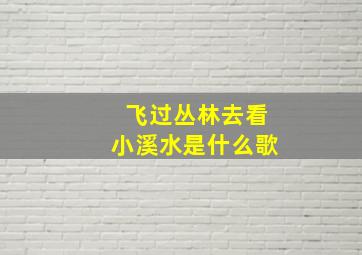 飞过丛林去看小溪水是什么歌