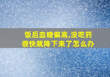 饭后血糖偏高,没吃药很快就降下来了怎么办