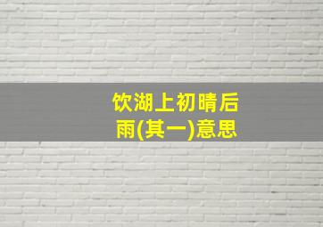 饮湖上初晴后雨(其一)意思