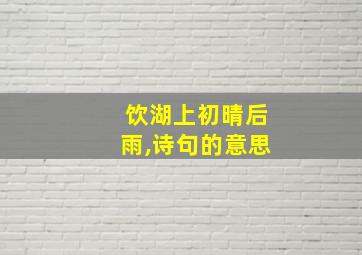 饮湖上初晴后雨,诗句的意思