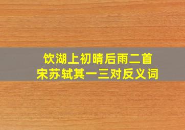 饮湖上初晴后雨二首宋苏轼其一三对反义词