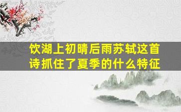 饮湖上初晴后雨苏轼这首诗抓住了夏季的什么特征