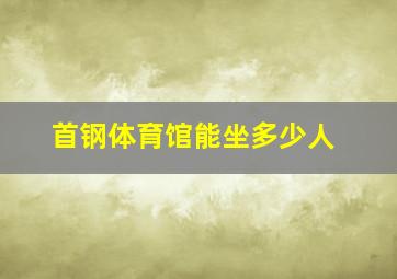 首钢体育馆能坐多少人