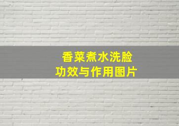 香菜煮水洗脸功效与作用图片