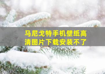 马尼戈特手机壁纸高清图片下载安装不了