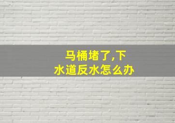 马桶堵了,下水道反水怎么办