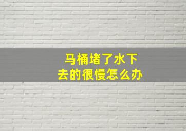 马桶堵了水下去的很慢怎么办