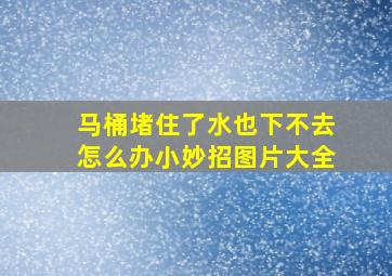 马桶堵住了水也下不去怎么办小妙招图片大全