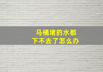 马桶堵的水都下不去了怎么办