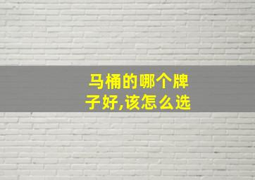 马桶的哪个牌子好,该怎么选