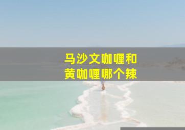 马沙文咖喱和黄咖喱哪个辣