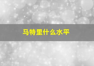 马特里什么水平