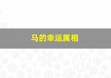 马的幸运属相