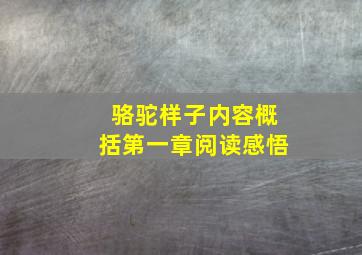 骆驼样子内容概括第一章阅读感悟