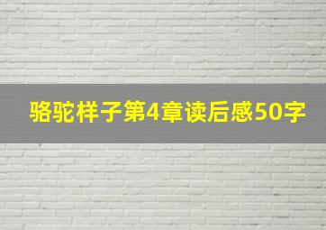 骆驼样子第4章读后感50字