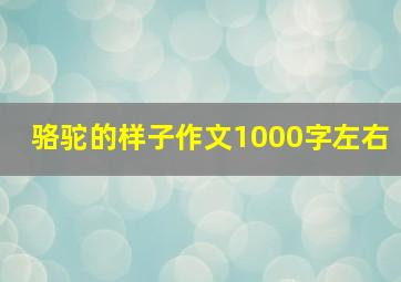 骆驼的样子作文1000字左右