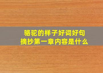 骆驼的样子好词好句摘抄第一章内容是什么